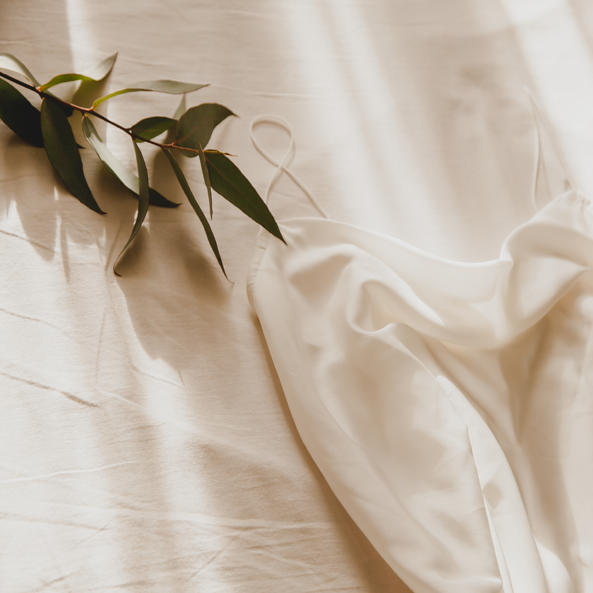 Micro Bamboo Intimate Fabric